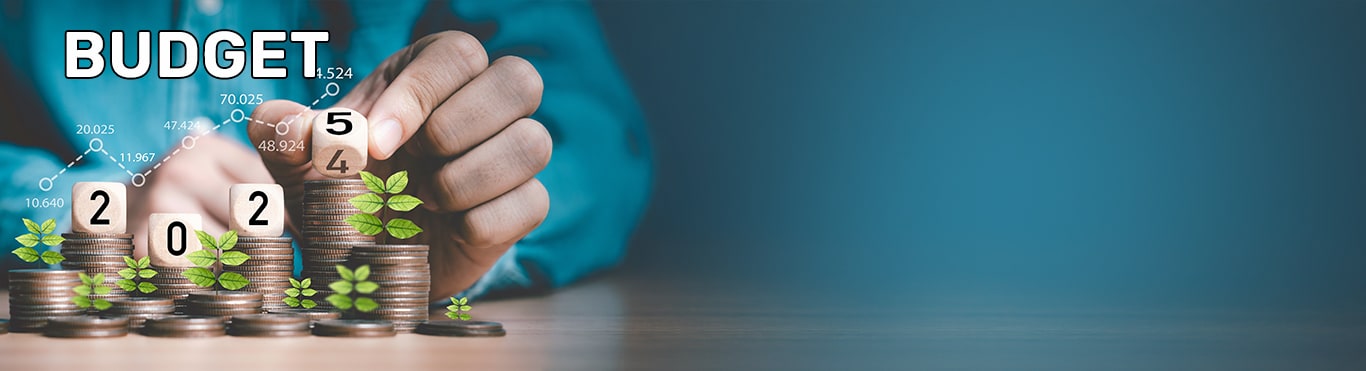 Budget 2025